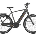 VÉLO DE VILLE ÉLECTRIQUE GAZELLE ULTIMATE C8+ HMB H SHIMANO NEXUS 8V 500 GRIS 2020