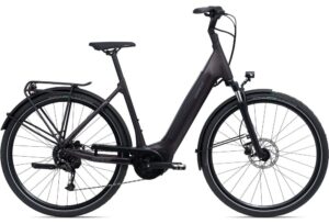 Giant-DAILYTOUR-E-3-LDS-SPORT-Easy-Entry-City-E-Bike-2023-rosewood-1.jpg